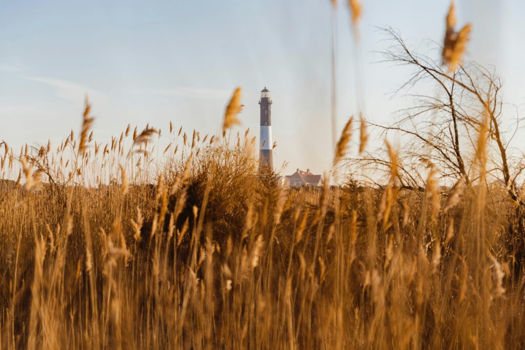 A serene view of the Fire Island Lighthouse framed by autumn grasses.
